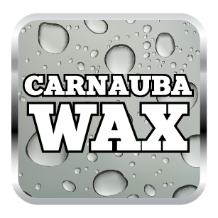 Carnauba Wax